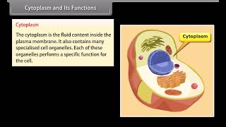 Standard 9 Science Chapter 5  Cell and Its Structure  Quick Revision [upl. by Negris]