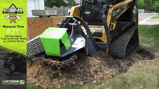 Loftness Stump Ax Stump Grinder In Action  5Foot Stump [upl. by Tor]