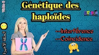 Vidéo 8 Génétique des haploïdes en arabe SVI S4 Interférence et Coïncidence 😥الحلقة الاخيرة [upl. by Malena114]