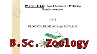 Lec 1  Non Chordate  Protista Protozoa Metazoa  Major Paper  Zoology  BSc 1st semester  UGC [upl. by Yenaled]