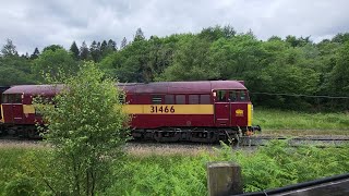 ews class 31 31466 growling up trough newtondale [upl. by Eiram]