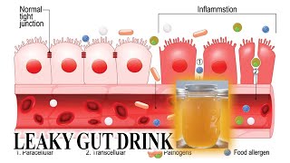 Leaky Gut Drink [upl. by Melantha]