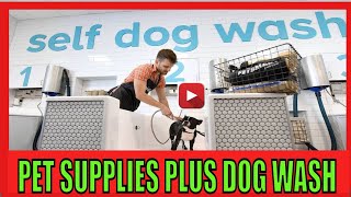 PET SUPPLIES PLUS DOG WASH MUST HAVESELF SERVICE DOG WASH STATION COIN OPERATED AT DOGGIE FASHION 😃 [upl. by Gelman]