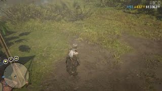 How To Get the Vitalism Studies Pamphlet Rabbit in RDR2 Red Dead Online [upl. by Soiritos746]