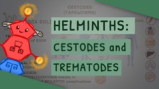 Helminths Cestodes and Trematodes transmission clinical importance and treatment [upl. by Ruthanne]