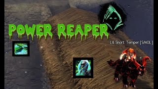 Reaper and Harbinger Roaming and Outnumbered WvW GW2 [upl. by Euqinot]