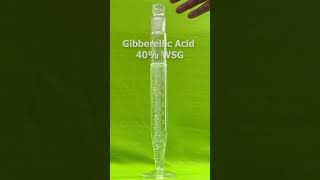 Gibberellins Gibberellic Acid GA3 [upl. by Ecitnirp]