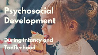 Psychosocial Development during Infancy and Toddlerhood [upl. by Jorrie]