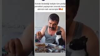 Kedi full yemek yedi o kadar çok yedi ki maşallah helpstrays ask kedi savethestrays animals 🤗🤗🥰 [upl. by Ylera879]