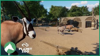 Gemsbok Habitat  Desert House  Elm Hill City Zoo  Planet Zoo [upl. by Ejrog186]