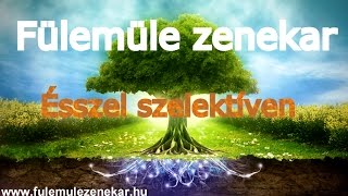 Szelektív dal ÉSSZEL SZELEKTÍVEN Fülemüle zenekar 2016 szelektív hulladékgyűjtés  gyerekeknek [upl. by Ahseinod]