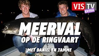 VIS TV Extra 47  Meerval [upl. by Woodcock]