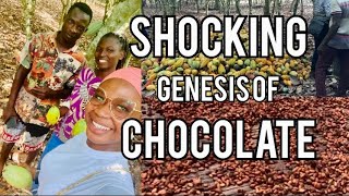 Travel Vlog in Ghana Cocoa Farming in the Eastern Region Extracting Cocoa Beans for Chocolate 🍫 [upl. by Iknarf]