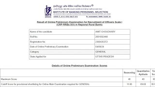 RRB PO PRE Scorecard  My attempts and score  Normalisation role [upl. by Farly773]