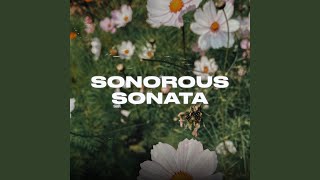 Sonorous Sonata [upl. by Naillij]