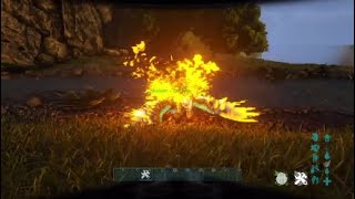 Ark Survival Evolved  How to Summon a Phoenix [upl. by Elora]