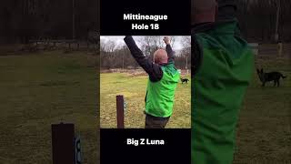 Disc Golf Hole In One at Mittineague Hole 18 Ace with a Luna discgolf dog discgolface [upl. by Enilorac]