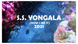 The SS Yongala Wreck Dive How I see it  2021 [upl. by Eisak596]