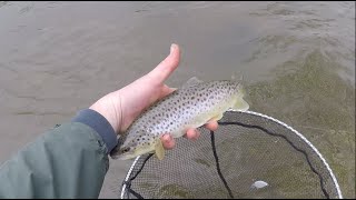 Surprise catch lure fishing for pike [upl. by Norreg]