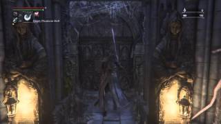 Bloodborne 272 Phys Waning Gem Super Rare Drop [upl. by Heady]