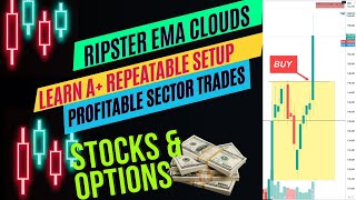 Learn Stock Trading  Identify Weak Sectors to Make Money in Stock Market Learn these Strategies [upl. by Linea]