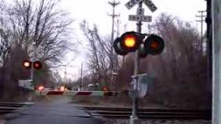 The NJ transit passes over the level crossing [upl. by Attiuqahs813]