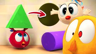 Learning with friends  Wheres Chicky  Cartoon Collection in English for Kids  New episodes [upl. by Stroup]