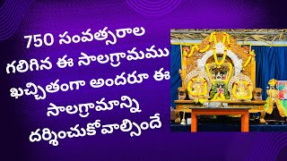 కోరిన కోర్కెలు తీర్చే కల్పవృక్ష నారసింహ సాలగ్రామం Powerfull Kalpavruksha Narasimha​ devotional [upl. by Ecerehs]