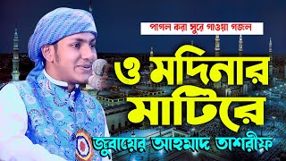 পাগল করা সুরে গাওয়া গজল । O Modinar Matire । ও মদিনার মাটিরে । Jubayer Ahmad Tashrif [upl. by Tersina]