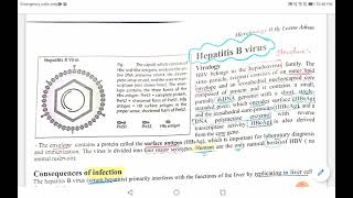 Hepatitis B virusMicrobiology 2 [upl. by Lutero]