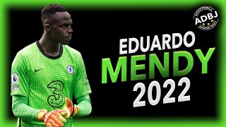 Edouard Mendy 20212022  Crazy Saves  HD [upl. by Anisamoht430]