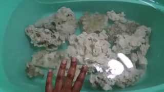 Curing dry rock into live rock pt 1 [upl. by Lesya]