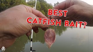 How To Catch Catfish From The Bank  Catfishing Bait Rigs amp Tips [upl. by Hcirdla]