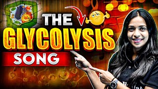 Learn The Steps Of Glycolysis Like Never Before 🎵🔥 [upl. by Leirza494]