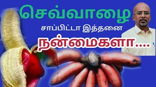 Health Benefits of Red Bananasசெவ்வாழையில் உள்ள மருத்துவ பயன்கள் redbananas செவ்வாழை healthtips [upl. by Nyberg]