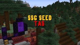 Minecraft SSG Speedrun but its a TAS [upl. by Eibrad]