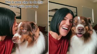 Kiss Your Dog On The Head And Record Their Reaction [upl. by Idnew]