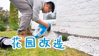 改造花园，拔掉旧的鸢尾，换上新的植物新西兰 Harold Vlog 810 [upl. by Tobey]