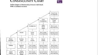 Consanguinity [upl. by Vinay]