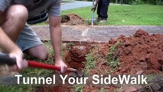 How To Tunnel Sidewalk in Under 10 Minutes [upl. by Erdah274]