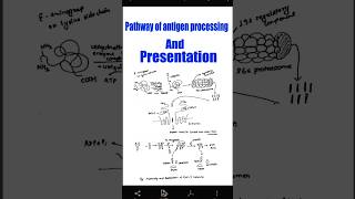 pathway of antigen presentationcytosolic amp endocytic pathway bsczoology zoology note 📝 [upl. by Nam]