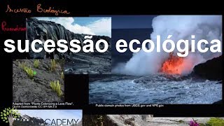 sucessão ecológica  Biologia  Khan Academy [upl. by Selmner469]