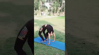 Chakrasana  Standing Chakrasana  Step By Step  yoga workout [upl. by Saidnac]