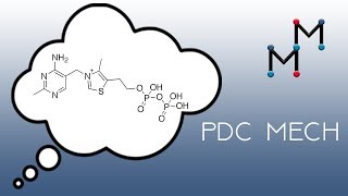 Pyruvate Dehydrogenase Mechanism The Chemistry of TPP [upl. by Cis]