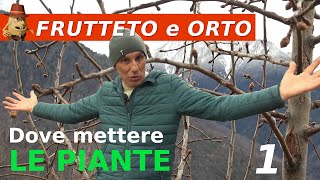 Design del tuo orto posizionamento ottimale delle piante [upl. by Anillehs506]