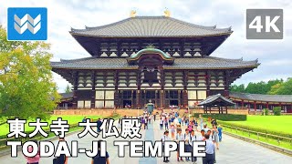 4K Nara Park Japan  Todaiji Temple Daibutsuden GIANT BUDDHA Walking Tour amp Travel Guide 🎧 [upl. by Nelg479]