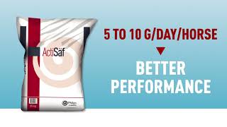 Enhancing Equine Performance with Actisaf® live yeast probiotic [upl. by Mari]