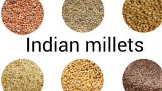 Millets names English to Telugu millets names millets names in telugu millets names in english [upl. by Alacim136]