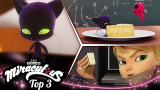 MIRACULOUS  🐞 PLAGG 🔝  SEASON 3  Tales of Ladybug and Cat Noir [upl. by Selinski]