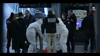 Attaque gare de Lyon  état psychiatrique de lassaillant compte TikTok antiFrance [upl. by Natalina]